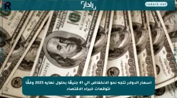 أسعار الدولار تتجه نحو الانخفاض إلى 41 جنيهًا بحلول نهاية 2025 وفقًا لتوقعات خبراء الاقتصاد